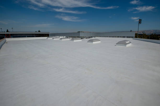 Best Roof Leak Repair  in South Rockwood, MI