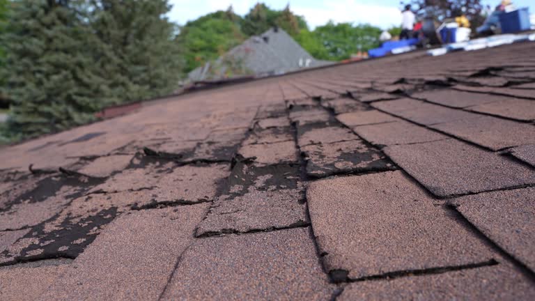 Best Cold Roofs  in South Rockwood, MI