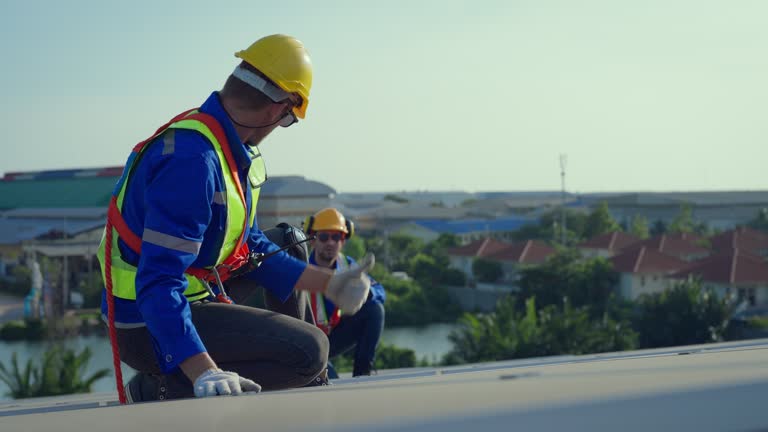 Best Skylight Installation and Repair  in South Rockwood, MI
