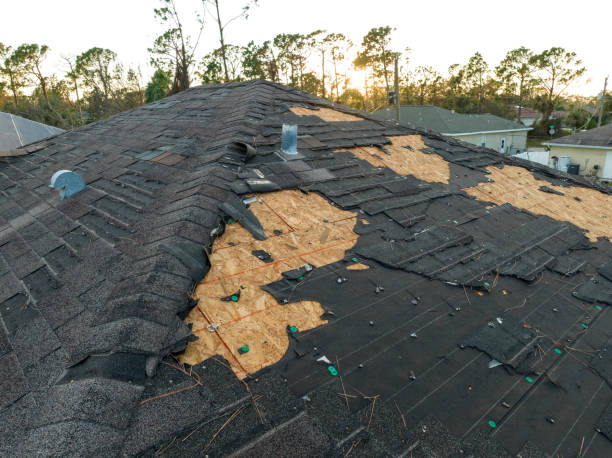 Best Tile Roofing Installation  in South Rockwood, MI