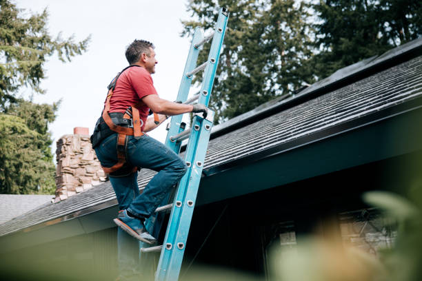 Best Emergency Roof Repair Services  in South Rockwood, MI
