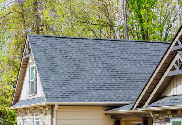 Best Chimney Flashing Repair  in South Rockwood, MI