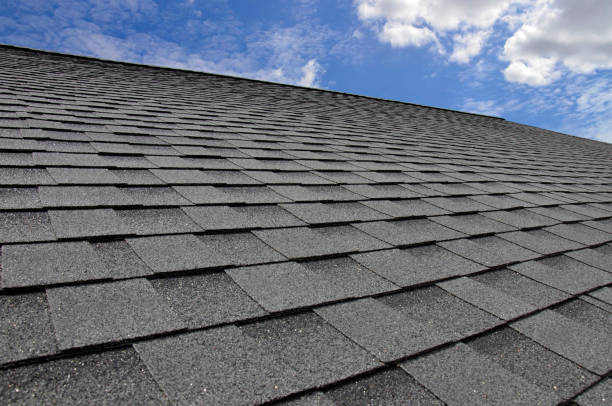 Fast & Reliable Emergency Roof Repairs in South Rockwood, MI
